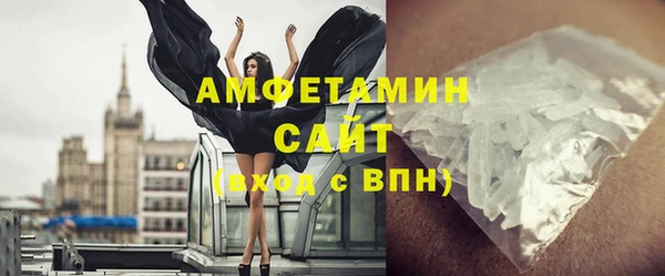 прущие грибы Заводоуковск