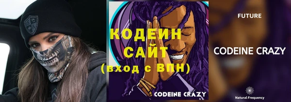 прущие грибы Заводоуковск