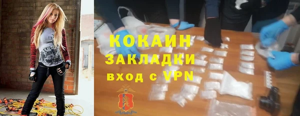 крисы Инта