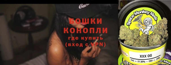 прущие грибы Заводоуковск