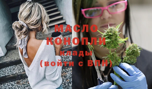 прущие грибы Заводоуковск