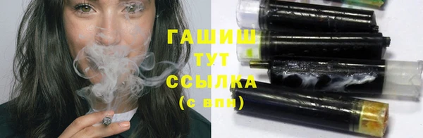 крисы Инта