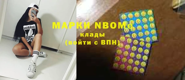 крисы Инта