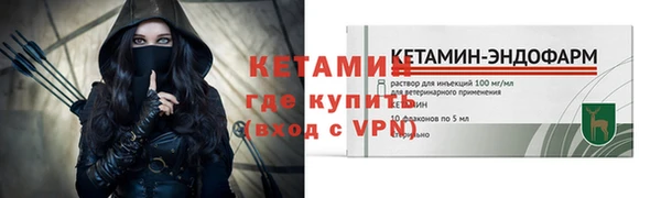 крисы Инта