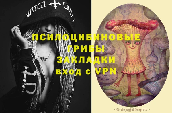 прущие грибы Заводоуковск