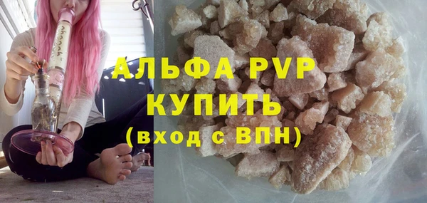 шишки Иннополис