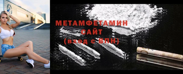 прущие грибы Заводоуковск