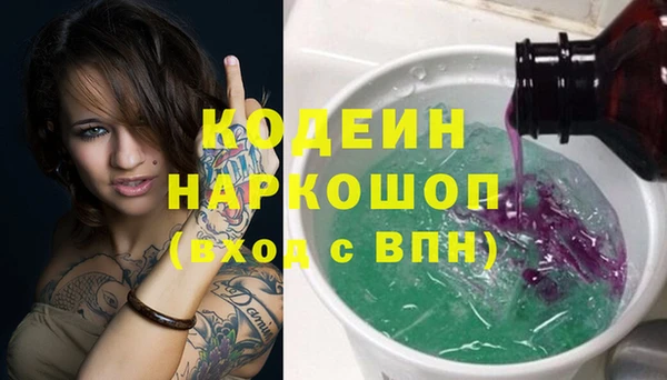 прущие грибы Заводоуковск