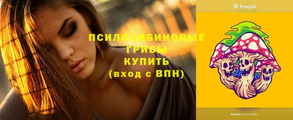 кокс Инсар