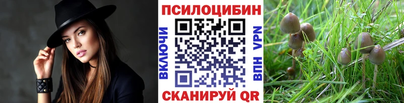 Псилоцибиновые грибы Magic Shrooms  купить наркотик  Новокузнецк 