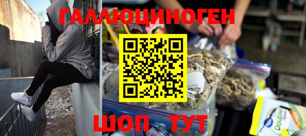 Новокузнецк  Галлюциногенные грибы MAGIC MUSHROOMS  Вход с VPN 